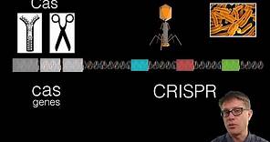 What is CRISPR?