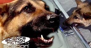 The Bionic Dog Saves A Little Girl | The Bionic Woman | Science Fiction Station