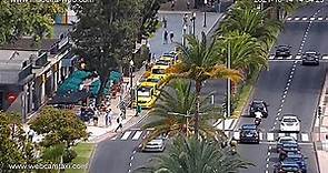 Webcam 2 Live Funchal Marina