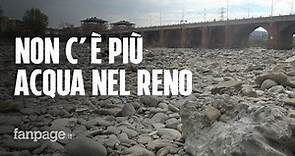 Allarme siccità: il fiume Reno non c'è più