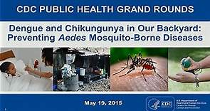 Dengue and Chikungunya in Our Backyard: Preventing Aedes Mosquito-Borne Diseases