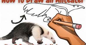 How To Draw an Anteater - EASY Drawing Tutorial!