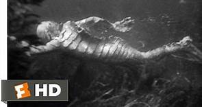 Creature from the Black Lagoon (7/10) Movie CLIP - Underwater Hunt (1954) HD