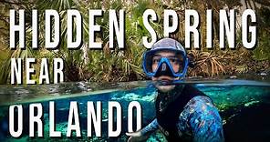 Rock Springs Run - Exploring Secluded Spring Near Orlando