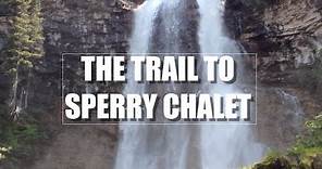 The Trail to Sperry Chalet