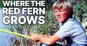 Where the Red Fern Grows | FAMILY FILM | Faithful Movie | Christian