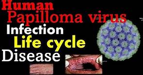Human papillomavirus (HPV) | pathogenesis, infection, replication