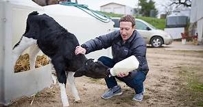 Life of 33-year-old Mark Zuckerberg — the fifth richest person on earth