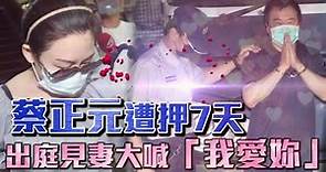 蔡正元遭押7天 出庭見妻大喊「我愛妳」| 台灣蘋果日報