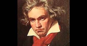 Beethoven, L. van - Symphony No. 9 - 4.3. Allegro assai vivace - Alla marcia