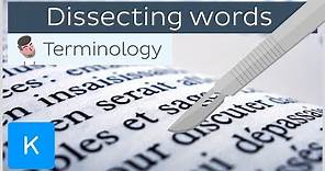 How dissecting words can help you be a pro in anatomical terminology | Kenhub