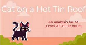 Cat on a Hot Tin Roof - AICE Literature AS Level (Summary of analysis)