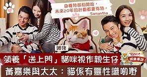 【法言人】黃嘉樂與太太領養貓咪享天倫之樂　三口之家伴彼此度重要時刻【有片】 - 香港經濟日報 - TOPick - 娛樂
