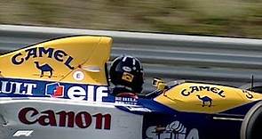 Damon Hill's Long-Overdue Maiden Win | 1993 Hungarian Grand Prix