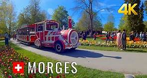 Morges Switzerland, Morges Tulip Festival, a real jewel in the Lake Geneva region, Switzerland 4K