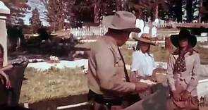 Moonshine County Express | movie | 1977 | Official Trailer - video Dailymotion