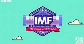 【金融百科】64. IMF 国际货币基金组织 (International Monetary Fund)