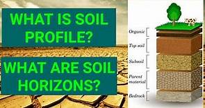 Soil Profile | Soil horizons