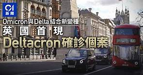 Deltacron｜英國首現Delta和Omicron結合新變種個案