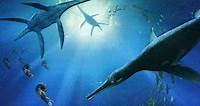 Sea Monsters: A Prehistoric Adventure (2008) - Movie
