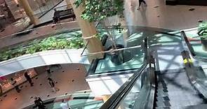 Montgomery Kone Escalators (Macy’s wing) at Somerset Collection North in Troy MI