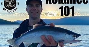 Kokanee Fishing 101 Stampede Reservoir California Trolling methods for catching Landlocked Salmon