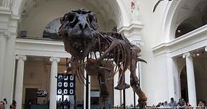 Field Museum of Natural History in Chicago, Illinois