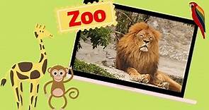 Educational Video - Zoo Animals - At the Zoo - English for Kids - Kids Vocabulary