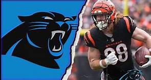 CINCINNATI BENGALS TE HAYDEN HURST SIGNED A 3 YEAR 21 MILLION DOLLAR CONTRACT WITH THE PANTHERS!!