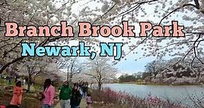 Branch Brook Park in Newark, New Jersey, USA | Walk tour inside and outside the park (part 1 of 2)