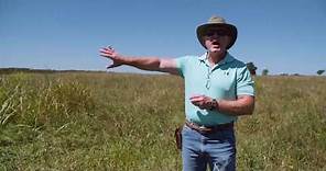 Adaptive Grazing 101: What Does an Ideal Pasture Look Like?