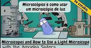 Microscopios y cómo usar un microscopio de luz
