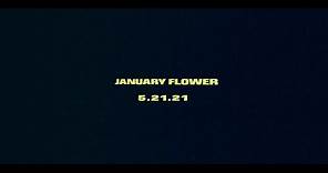 Mat Kearney - January Flower (Album Trailer)