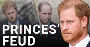 William and Harry: Brothers ‘at war with each other’ | Michael Cole
