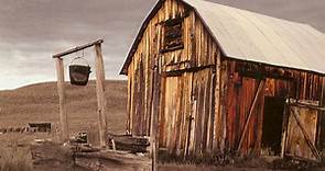 The Ben Taylor Band - Famous Among The Barns