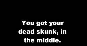 Dead Skunk in the Middle of the Road - With Lyrics