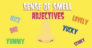 Sense of Smell Adjectives