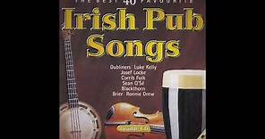 The Best 40 Favourite Irish Pub Drinking Songs - Various Artists | Over 2 Hours
