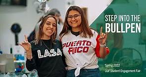 Why Are Student Organizations Important? | University of South Florida Sarasota-Manatee Campus