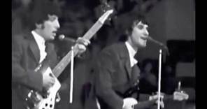 You Really Got Me - The Kinks - 1965 live