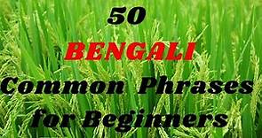 50 Common BENGALI Phrases for Beginners