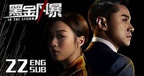 ENG SUB《黑金風暴 In the Storm》EP22（國語版） | 林峯、周秀娜、黃浩然 | 懸疑反貪 | KUKAN Drama