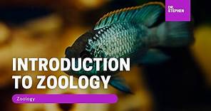 Zoology 🦚 I Introduction to Zoology