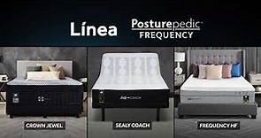 Sealy Posturepedic® Frequency