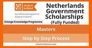 Netherlands Government Scholarship 2024 (Fully Funded) – Scholarship Roar