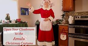 Mrs. Claus Costume for Women Amulu Adult Christmas Dress