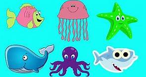 Sea Animals Song | Kids Learning Videos & Animal Songs | LittleKidsTV