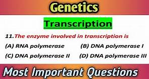 MCQs on Transcription : Central Dogma : Most Important questions