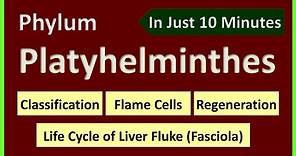 Phylum Platyhelminthes | Classification | Planaria structure | Regeneration | Life Cycle