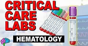 Hematology - Complete Blood Count (CBC) - Critical Care Labs